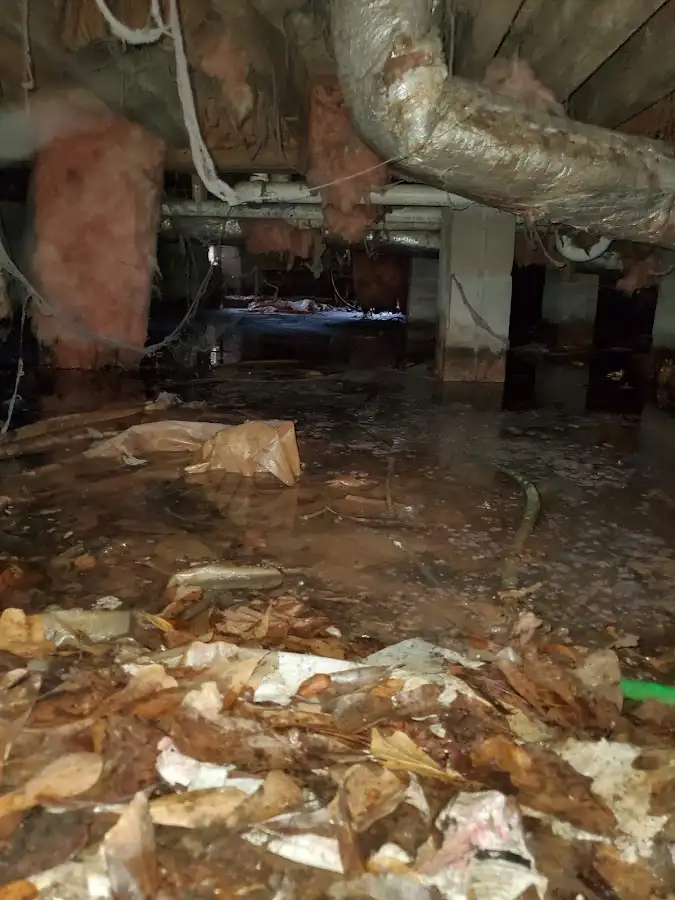 Crawl space flood assessment for Leak Detection & Repair in Red Chute