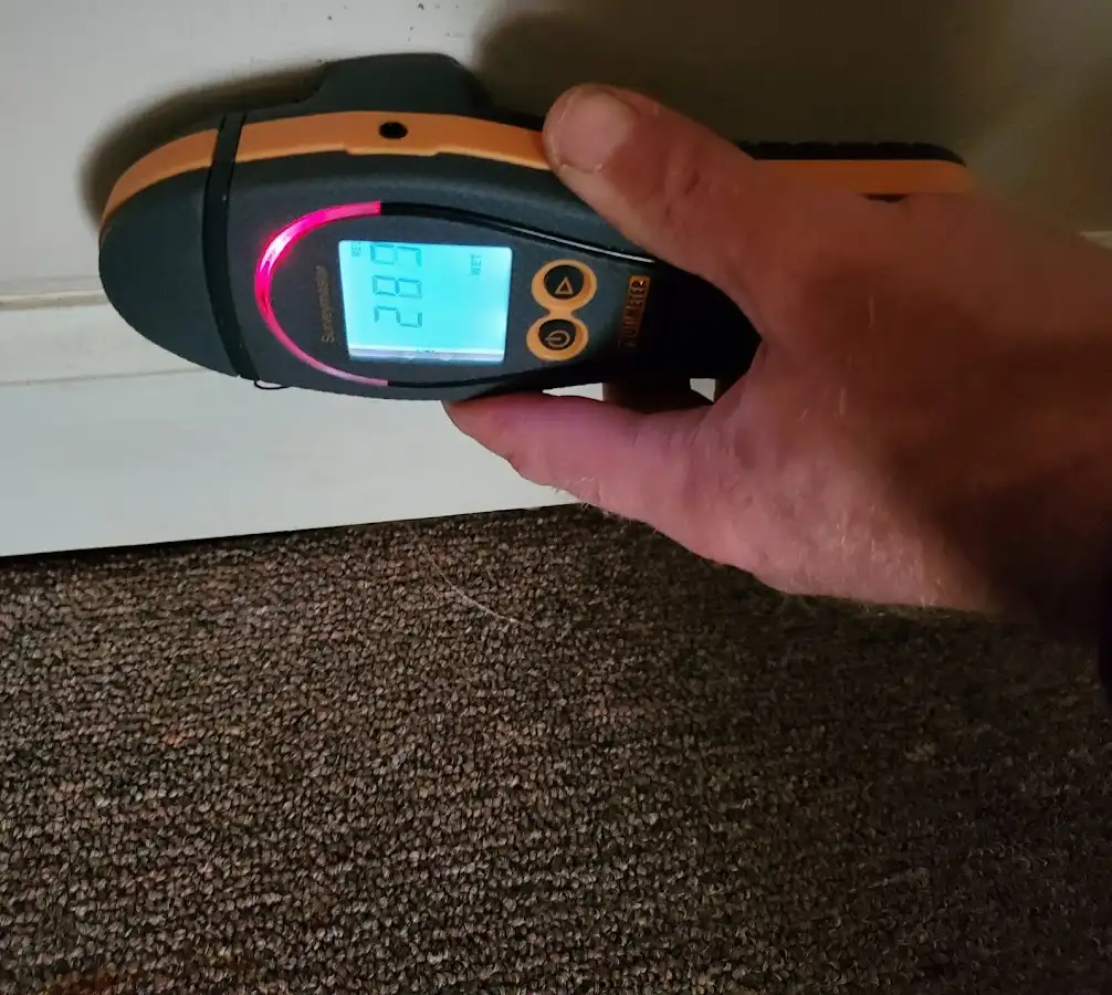 Moisture detection at baseboard during Mold Inspection & Testing in Red Chute